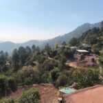 Guest Houses and Glamps